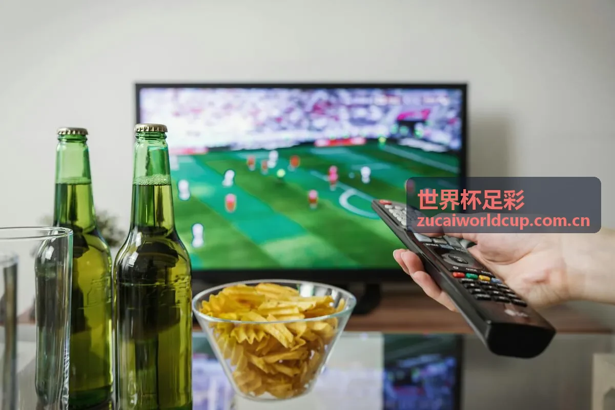 世界杯足彩竞彩攻略与技巧指南